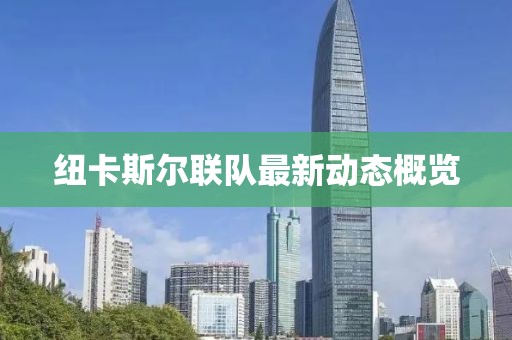 紐卡斯爾聯(lián)隊最新動(dòng)態(tài)概覽