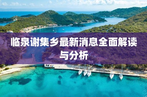 臨泉謝集鄉最新消息全面解讀與分析