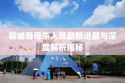 聊城辱母殺人案最新進(jìn)展與深度解析揭秘