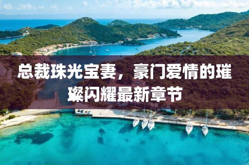 總裁珠光寶妻，豪門(mén)愛(ài)情的璀璨閃耀最新章節