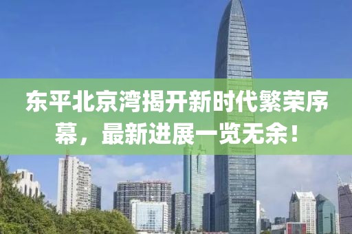 東平北京灣揭開(kāi)新時(shí)代繁榮序幕，最新進(jìn)展一覽無(wú)余！