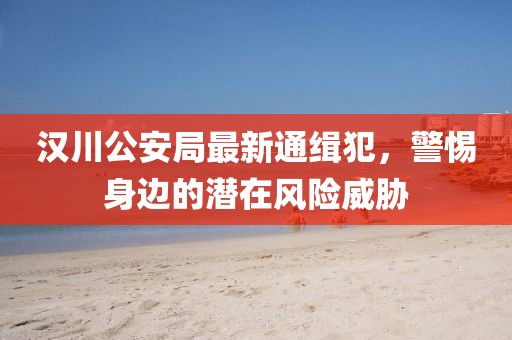 漢川公安局最新通緝犯，警惕身邊的潛在風(fēng)險威脅