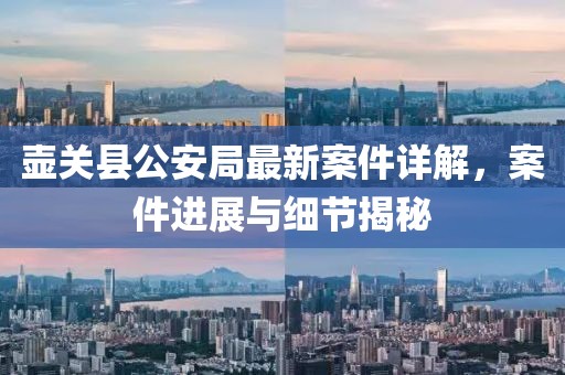 壺關(guān)縣公安局最新案件詳解，案件進(jìn)展與細節揭秘