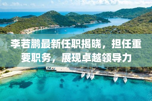 李若鵬最新任職揭曉，擔任重要職務(wù)，展現卓越領(lǐng)導力