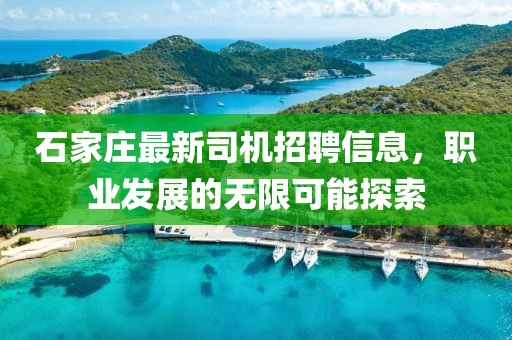 石家莊最新司機招聘信息，職業(yè)發(fā)展的無(wú)限可能探索