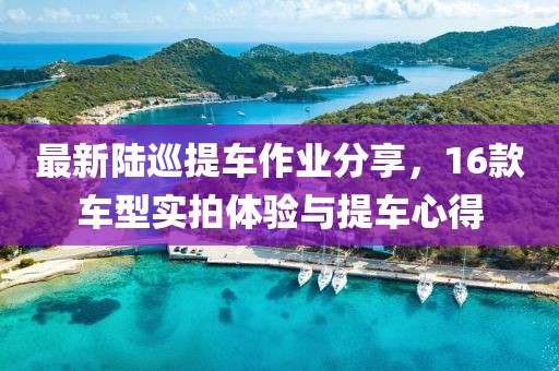 最新陸巡提車(chē)作業(yè)分享，16款車(chē)型實(shí)拍體驗與提車(chē)心得