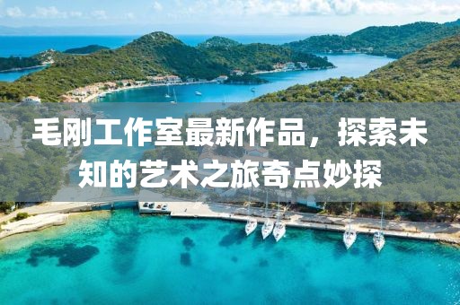 毛剛工作室最新作品，探索未知的藝術(shù)之旅奇點(diǎn)妙探