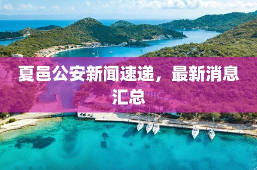 夏邑公安新聞速遞，最新消息匯總