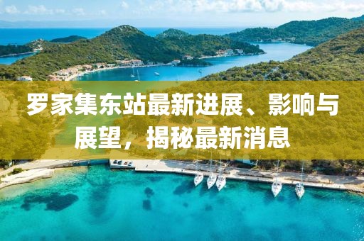 羅家集東站最新進(jìn)展、影響與展望，揭秘最新消息