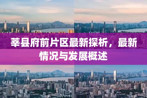 莘縣府前片區最新探析，最新情況與發(fā)展概述