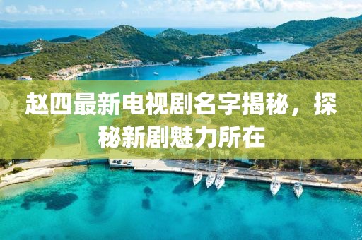 趙四最新電視劇名字揭秘，探秘新劇魅力所在