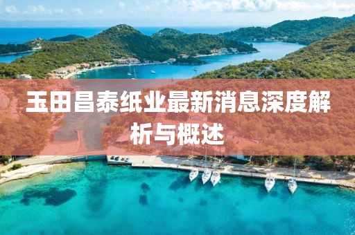 玉田昌泰紙業(yè)最新消息深度解析與概述