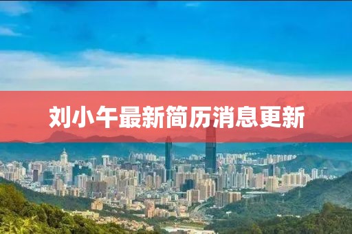 劉小午最新簡(jiǎn)歷消息更新