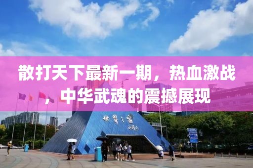 散打天下最新一期，熱血激戰，中華武魂的震撼展現