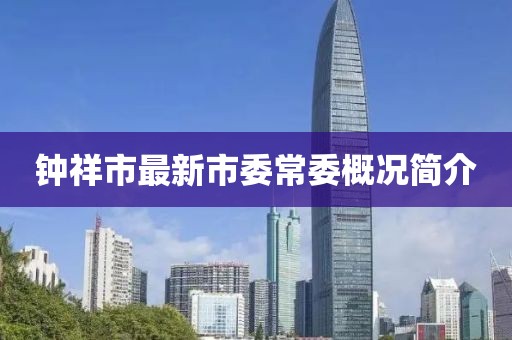 鐘祥市最新市委常委概況簡(jiǎn)介