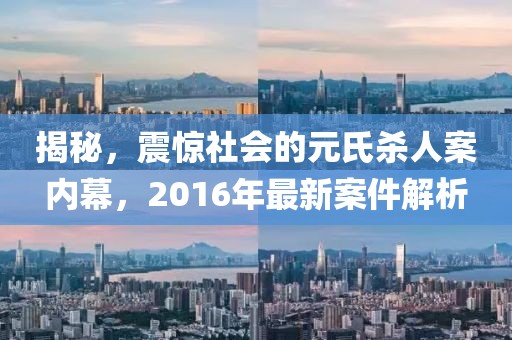 揭秘，震驚社會(huì )的元氏殺人案內幕，2016年最新案件解析