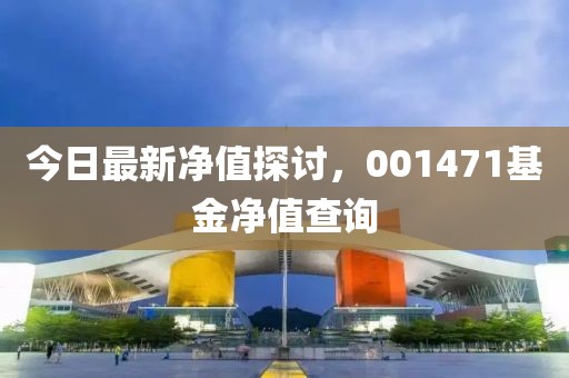 今日最新凈值探討，001471基金凈值查詢(xún)