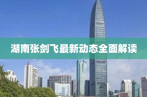 湖南張劍飛最新動(dòng)態(tài)全面解讀