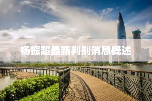 楊振超最新判刑消息概述