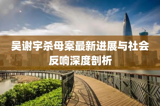 吳謝宇殺母案最新進(jìn)展與社會(huì )反響深度剖析