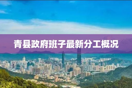 青縣政府班子最新分工概況