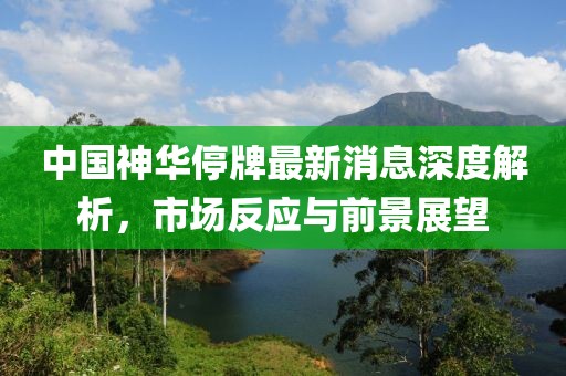 中國神華停牌最新消息深度解析，市場(chǎng)反應與前景展望