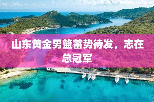 山東黃金男籃蓄勢待發(fā)，志在總冠軍