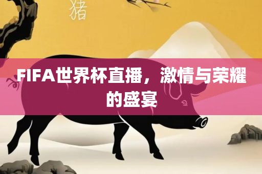 鄧文迪離婚后重塑人生的多彩篇章揭秘