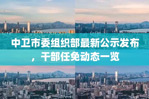 中衛市委組織部最新公示發(fā)布，干部任免動(dòng)態(tài)一覽