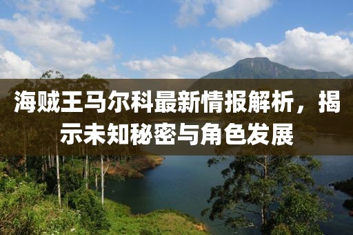 海賊王馬爾科最新情報解析，揭示未知秘密與角色發(fā)展