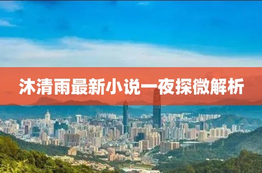 沐清雨最新小說(shuō)一夜探微解析