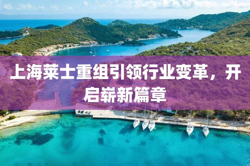 上海萊士重組引領(lǐng)行業(yè)變革，開(kāi)啟嶄新篇章