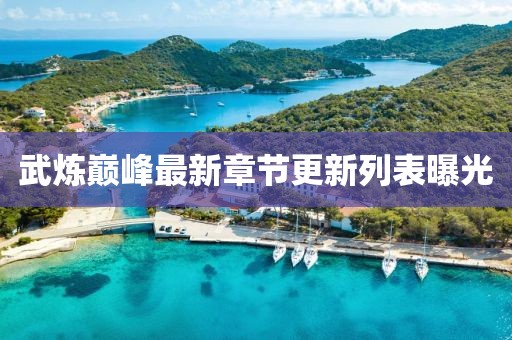 武煉巔峰最新章節更新列表曝光