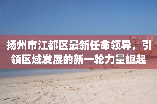 揚州市江都區最新任命領(lǐng)導，引領(lǐng)區域發(fā)展的新一輪力量崛起