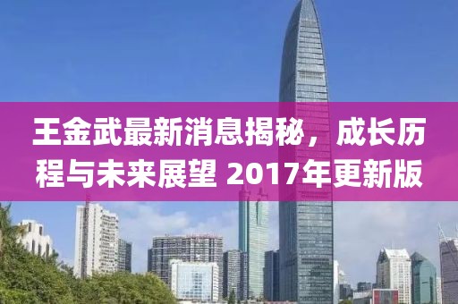 王金武最新消息揭秘，成長(cháng)歷程與未來(lái)展望 2017年更新版