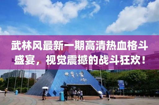武林風(fēng)最新一期高清熱血格斗盛宴，視覺(jué)震撼的戰斗狂歡！