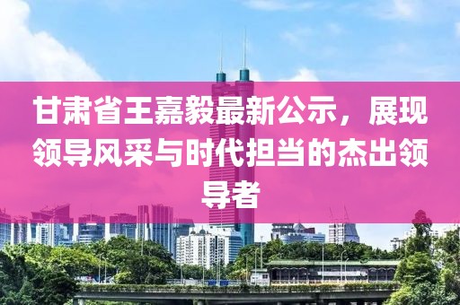 甘肅省王嘉毅最新公示，展現領(lǐng)導風(fēng)采與時(shí)代擔當的杰出領(lǐng)導者