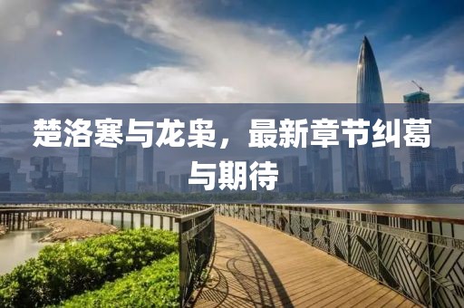 楚洛寒與龍梟，最新章節糾葛與期待