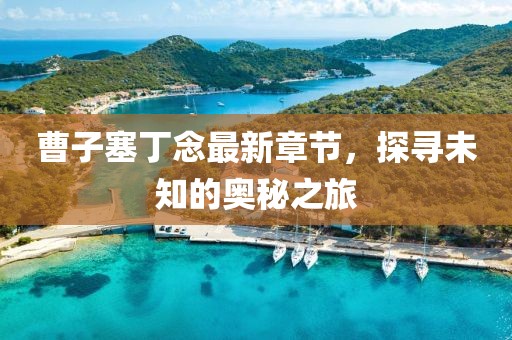 曹子塞丁念最新章節，探尋未知的奧秘之旅