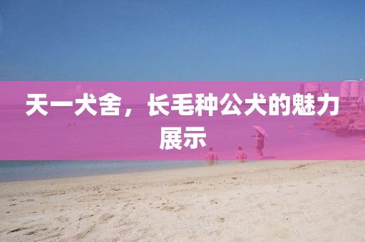 天一犬舍，長(cháng)毛種公犬的魅力展示