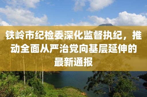 鐵嶺市紀檢委深化監督執紀，推動(dòng)全面從嚴治黨向基層延伸的最新通報