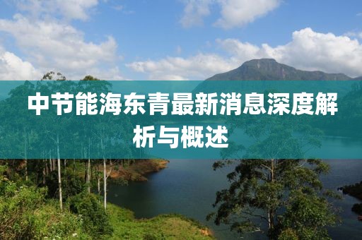 中節能海東青最新消息深度解析與概述