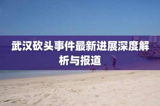 武漢砍頭事件最新進(jìn)展深度解析與報道