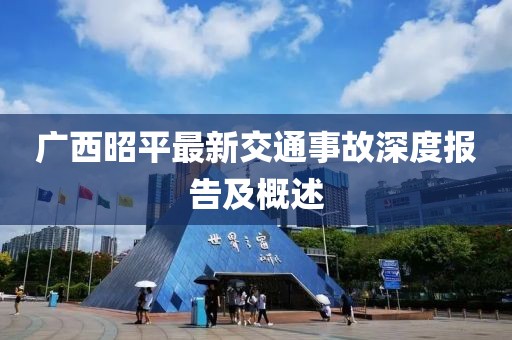 廣西昭平最新交通事故深度報告及概述