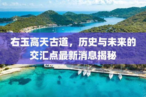 溫柔不夠 第8頁(yè)