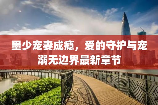 墨少寵妻成癮，愛(ài)的守護與寵溺無(wú)邊界最新章節