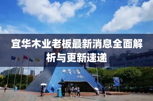 宜華木業(yè)老板最新消息全面解析與更新速遞
