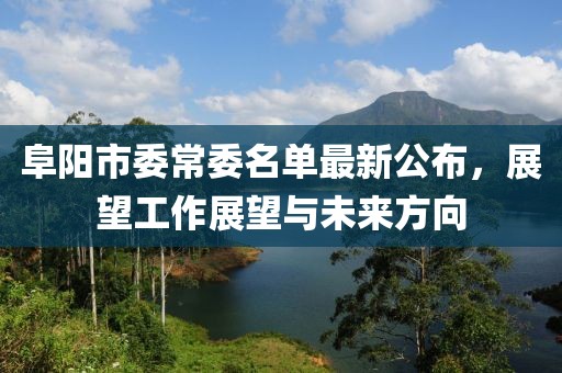 阜陽(yáng)市委常委名單最新公布，展望工作展望與未來(lái)方向