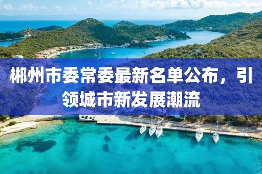 郴州市委常委最新名單公布，引領(lǐng)城市新發(fā)展潮流