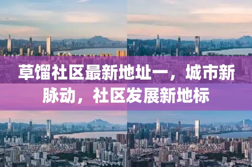 草餾社區最新地址一，城市新脈動(dòng)，社區發(fā)展新地標